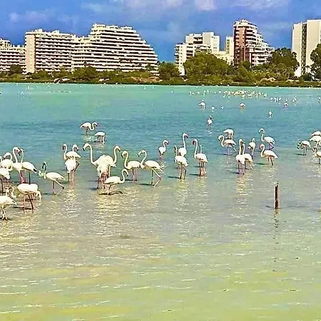 Fiorito